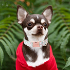 Unique style paws Dog Collar Metal Buckle Green Flowers Collar Gift Durable - Image 4