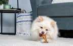 Hartz Chew ‘n Clean Chew Toy and Treat in One Chicken Flavored Drumstick Dog Toy - Image 6