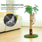 Cat Scratching Post for Indoor Cats and Kitten - Image 4