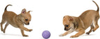 Snug Rubber Dog Balls for Small and Medium Dogs - Image 5