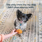Oxyfresh Dog Dental Chew Toy - Image 7