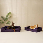 EHEYCIGA Orthopedic Dog Beds for Extra Large Dogs, Waterproof Memory Foam XXL - Image 8