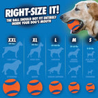 Chuckit! Ultra Ball Dog Toy - Image 4