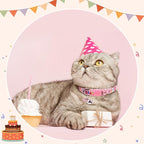 SCENEREAL Birthday Cat Collars Breakaway - Image 7