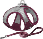 AIITLE Easy Walk Dog Harness and Leash Set by AIITLE-FORPETSBETTERLIFE