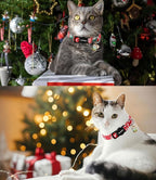 Cat Collar, 2 Pack Cat Collars Breakaway - Image 5