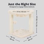 TRIXIE Baza XXL Cat Scratching Posts, Indoor Cat Furniture - Image 3