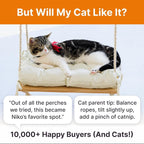 Cat Window Perch with Industrial-Grade Suction Cups - Image 8