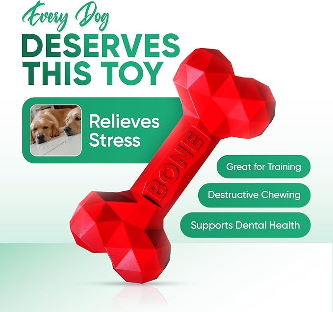 Natural Rubber Dog Chew Bone – Treat-Dispensing, Tough & Indestructible Chew - Image 4