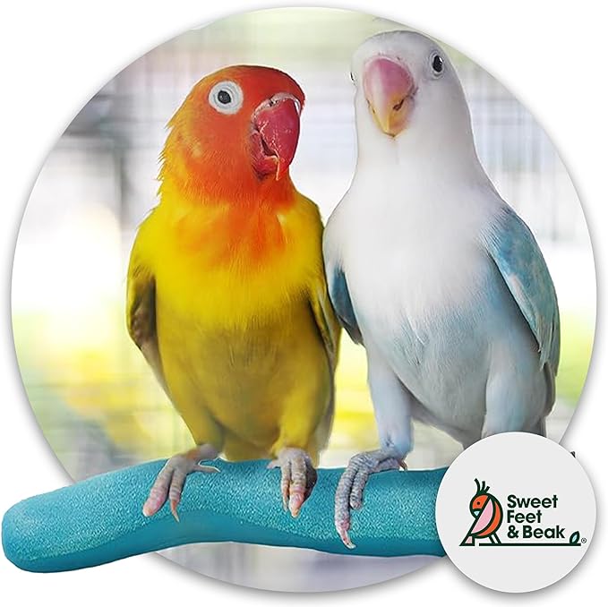 Sweet Feet and Beak Safety Pumice Perch - Image 2