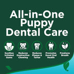 Vet's Best Dog Toothpaste & Toothbrush Kit - Image 3