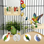 Bird Toys & Wooden Play Gym - Image 3