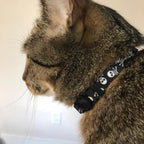 PUPTECK Breakaway Cat Collar - Image 2