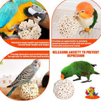 6 Pack Bird Toy Sola Balls, Natural Parrot Soft Chew Shredding & Foraging Toy - Image 5