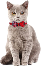 Faleela 2 Pack/Set Cat Collar - Image 4