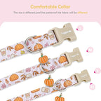 Faygarsle Fall Pumpkin and Leaves Pattern Dog Collar - Image 5