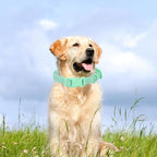 Waterproof Dog Collar Soft Rubber Dog Collar - Image 2