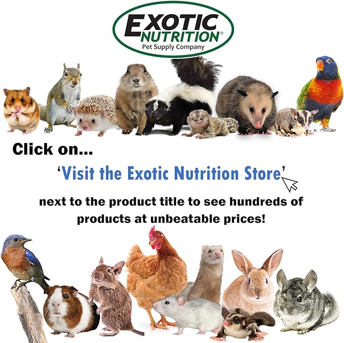 Pet Bonding Scarf - Image 8
