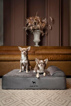NOAH & PAW Dog Bed, Orthopedic Dog Beds - Image 2