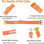 Nylon Dog Collar - Image 4