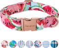 Unique style paws Dog Collar Metal Buckle Watermelon Collar Gift Durable Cute by Uniquestylepaws