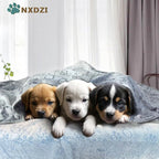 Dog Blankets for Small Medium Dogs Washable, 3 Pack Pet Blanket Washable 30" x - Image 3