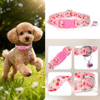 XS Dog Collar with Bell - Image 3