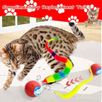 2 PCS Interactive Cat Toy Rolling Ball Chewie Viral Dog Ball - Image 7