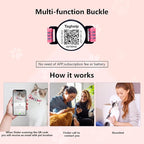 Kitten Collars with Bell & QR Code Name Tag - Image 4