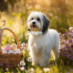 Easter Dog Collar for Giant Large Dogs - Image 7