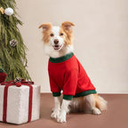 Custom Dog Hoodie, Personalized Sweatshirt - Image 5