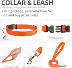 PUPTECK Adjustable Dog Harness Collar and Leash Set Step in No Pull Pet Harness - Image 4