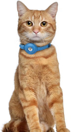 OOPSDOGGY Leather AirTag Cat Collar - Image 6
