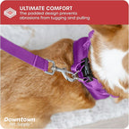 Downtown Pet Supply Step-in Dog Harness – No Pull, Adjustable Padded Mesh - Image 6
