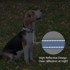 Reflective Dog Collar Padded - Image 5
