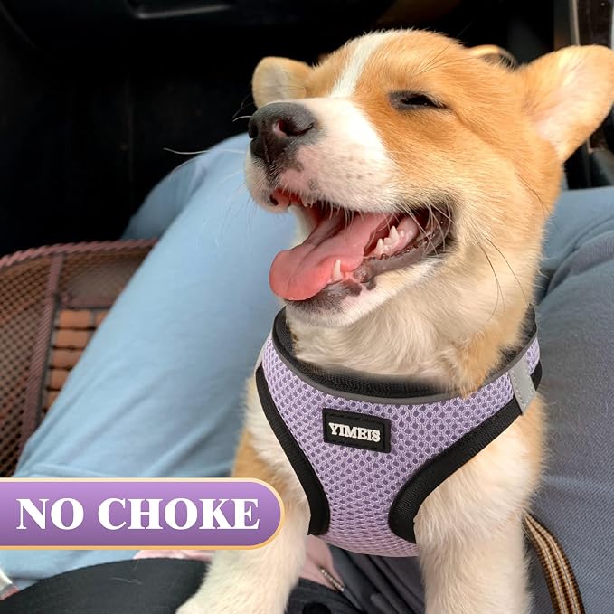 YIMEIS Dog Harness and Leash Set, No Pull Soft Mesh Pet Harness, Reflective - Image 2
