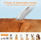 AIRROBO Dog Grooming Vacuum Kit, 12000Pa Strong Pet Vacuum - Image 6