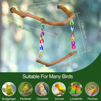 Bird Swing Toys, Standing Bird Perch - Image 6
