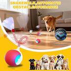 Interactive Cat Toys Ball for Indoor Cats＆Dogs, Automatic Cat Toy 360° - Image 3