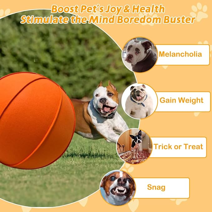 Herding Ball for Dogs, Dual Layered Herding Dog Ball Set for Australian Shepherd - Image 5