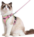 rabbitgoo Cat Harness and Leash by rabbitgoo