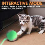 Rocfish Durable Interactive Cat Toys - Image 6