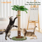 Cat Scratching Post for Indoor Cats and Kitten - Image 2