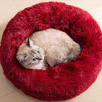 Cat Beds for Indoor Cats by Unknown