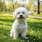 St. Patrick's Day Dog Collar, Cute Dog Collar - Image 4