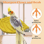 3 Pcs Bird Perch Resin Bird Beak Grinding Stone Leaf Shape Perch Stand Foot - Image 5
