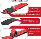 Reflective Dog Collar Padded - Image 4