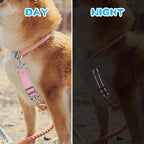 YUEPET Dog Safety Collar Clips 5 Pack Adjustable Prong Collar Backup Clips - Image 5