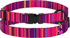 Cat Collars 2 Pack - Image 4