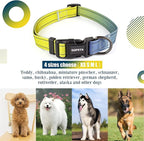 Roses&Poetry Dog Collars for Medium Dogs - Image 4